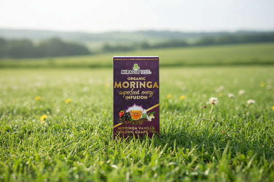Miracle Tree's Moringa Energy Tea, Grape Vanilla